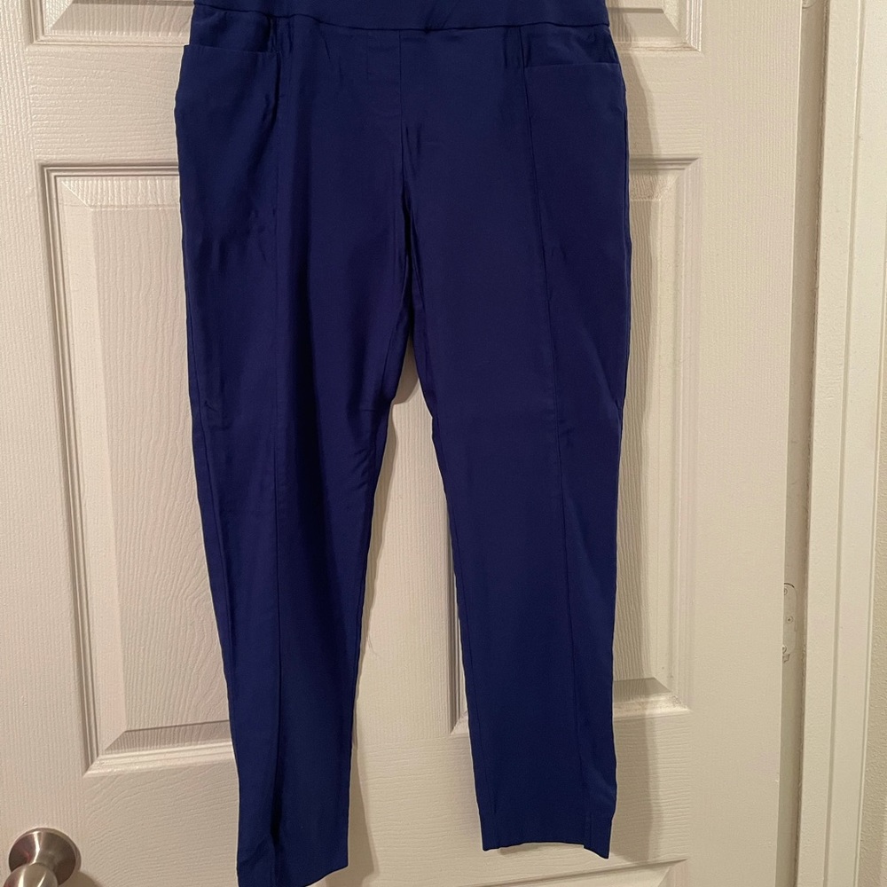 LIKE NEW Apt. 9 blue ankle dress pant